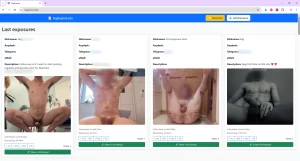 Screenshot fagexpose.site main page on larger screen